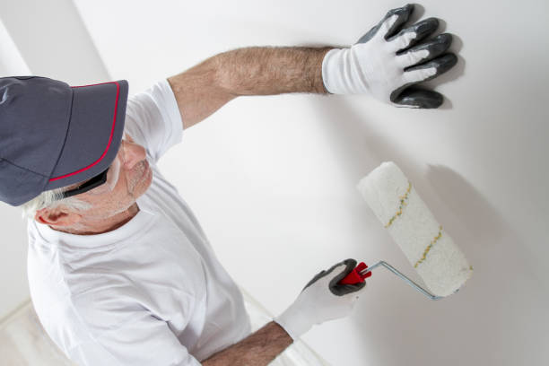 Best Black Mold Removal  in Perezville, TX