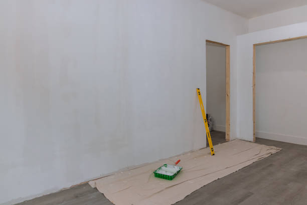 Best Water Damage & Mold Remediation  in Perezville, TX